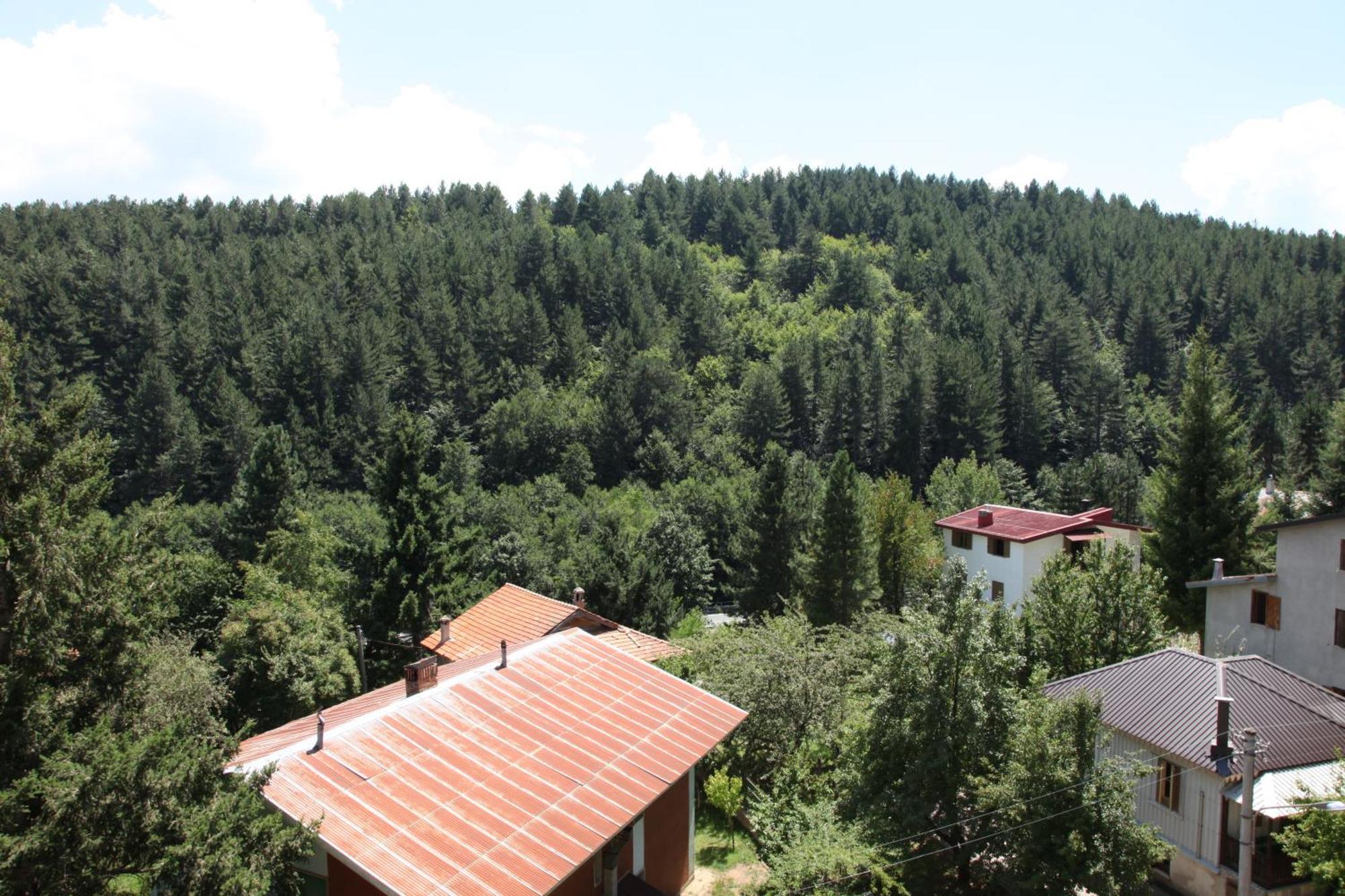Hotel Tasso Camigliatello Silano Zewnętrze zdjęcie